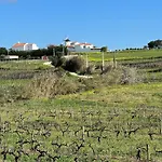 Stunning In - Near Golf &