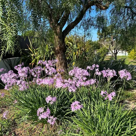Stunning In - Near Golf &