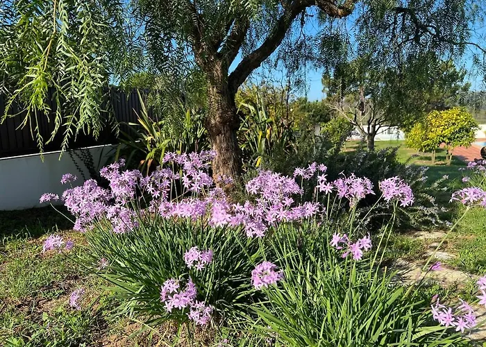 Stunning In - Near Golf &