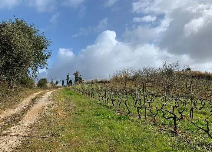 Stunning In - Near Golf & Óbidos